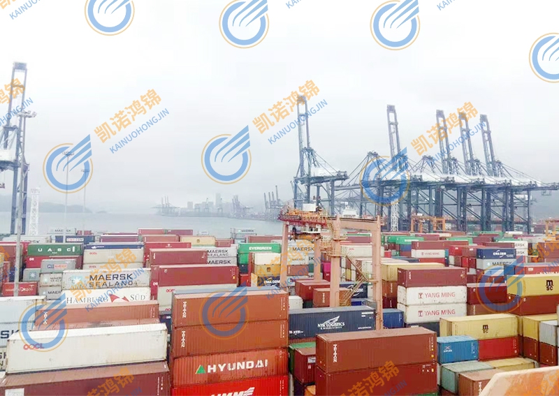 ��ŵ�����������������������������