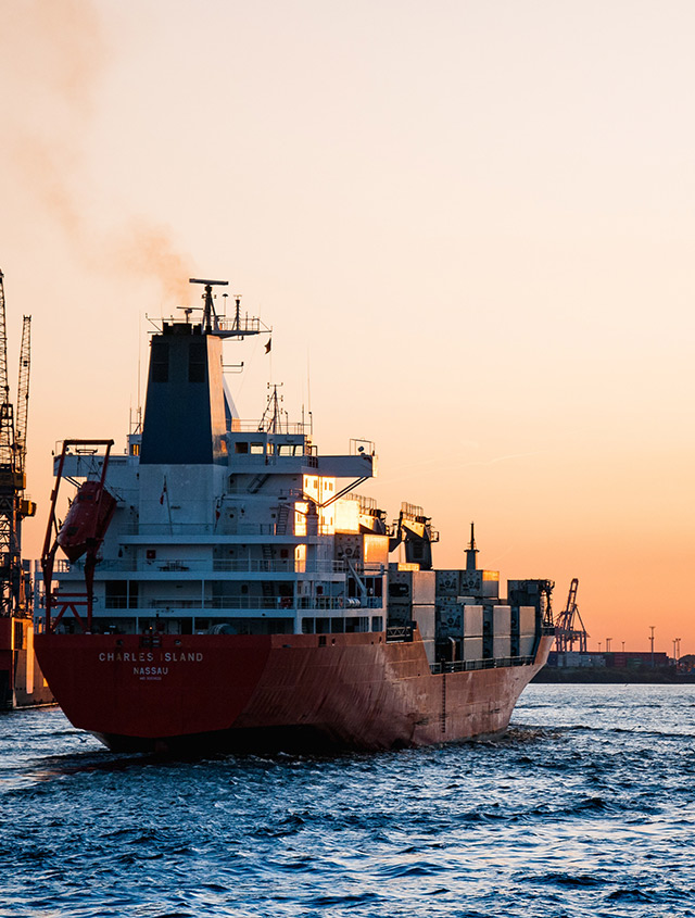 ��ŵ����